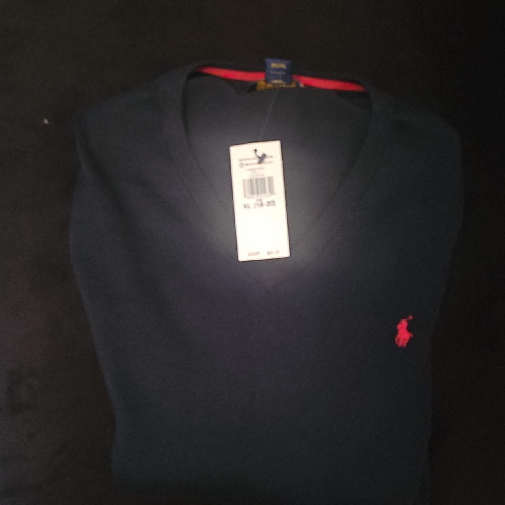 Polo by Ralph Lauren Blue V-Neck Sweater